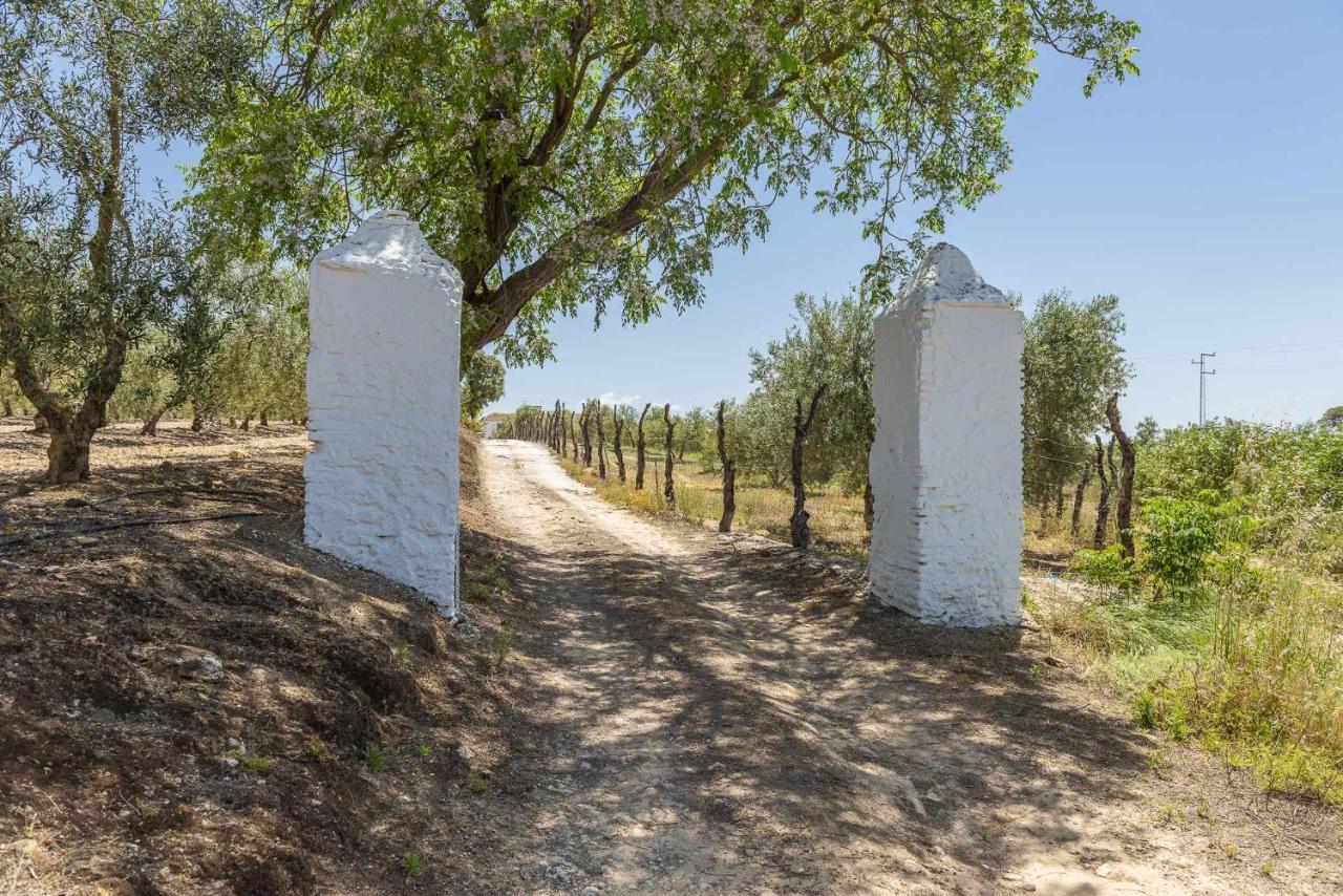 Hacienda San Antonio Villa Marchena  Buitenkant foto
